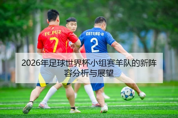 2026年足球世界杯小组赛羊队的新阵容分析与展望