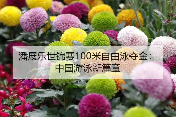 潘展乐世锦赛100米自由泳夺金：中国游泳新篇章