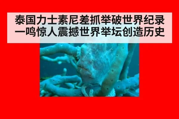泰国力士素尼差抓举破世界纪录一鸣惊人震撼世界举坛创造历史